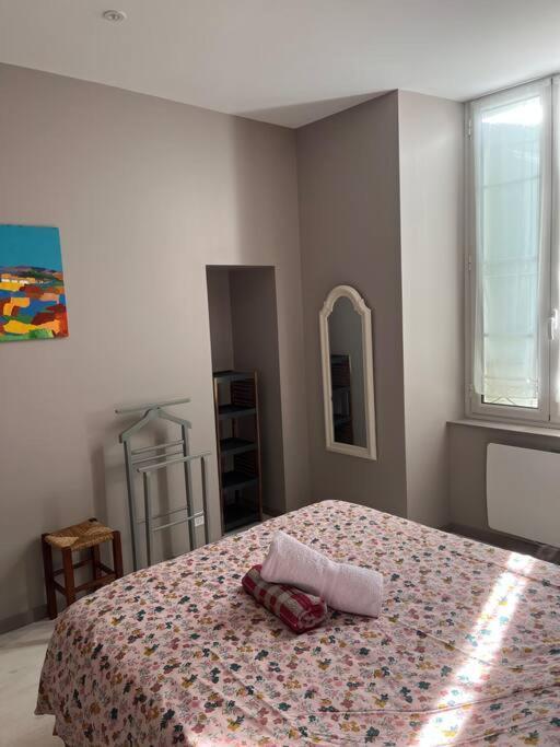 Superbe Appartement Plein Centre Millau Zewnętrze zdjęcie
