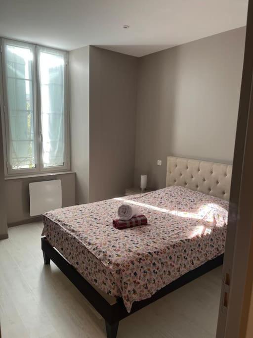 Superbe Appartement Plein Centre Millau Zewnętrze zdjęcie