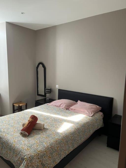 Superbe Appartement Plein Centre Millau Zewnętrze zdjęcie