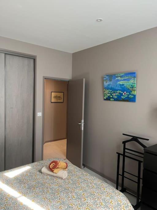 Superbe Appartement Plein Centre Millau Zewnętrze zdjęcie